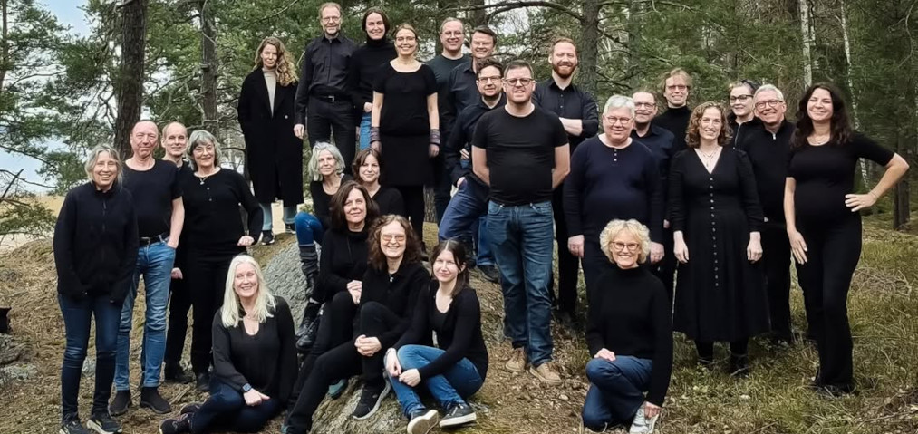 Kammarkören Plica Vocalis uppträder på ett företagsevent i Stockholm